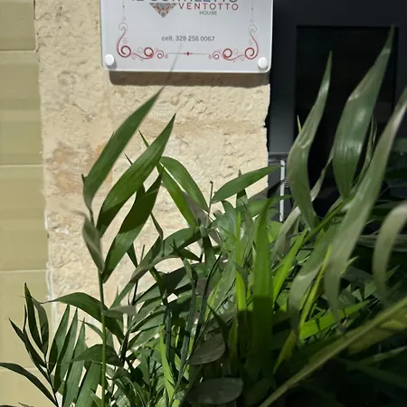 Il Cortiletto28 & House 锡拉库扎